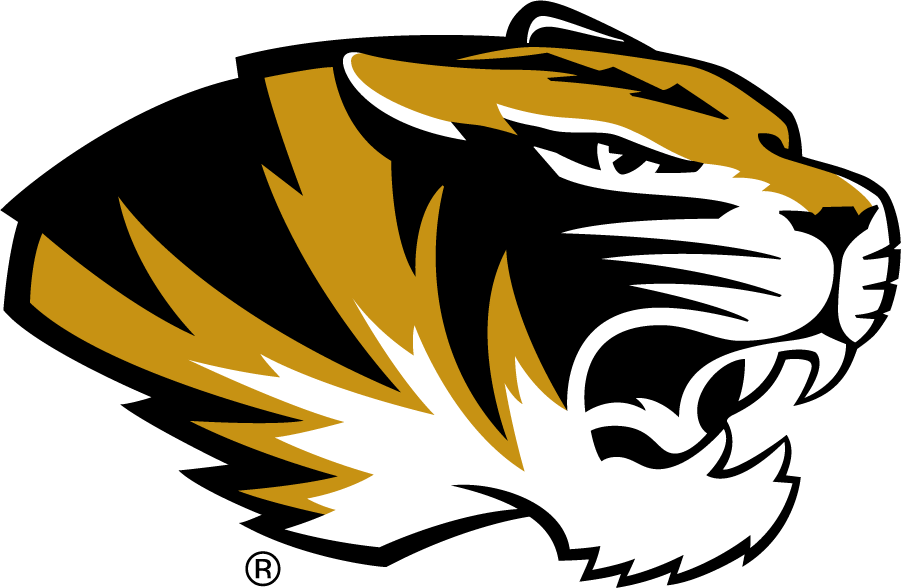 Missouri Tigers 2016-2018 Secondary Logo iron on transfers for clothing